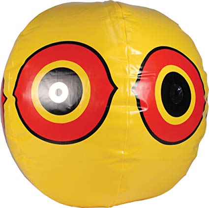 20181122C www.amazon.ca.jpg