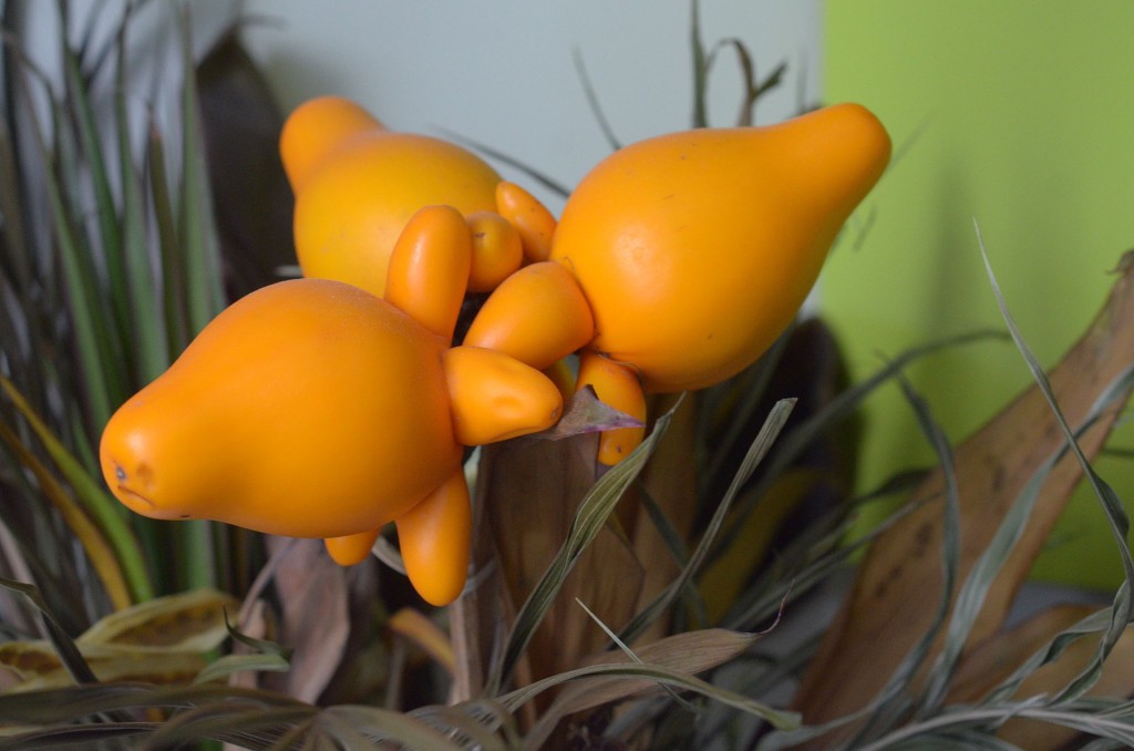 Orange fruits of Solanum maman-sum