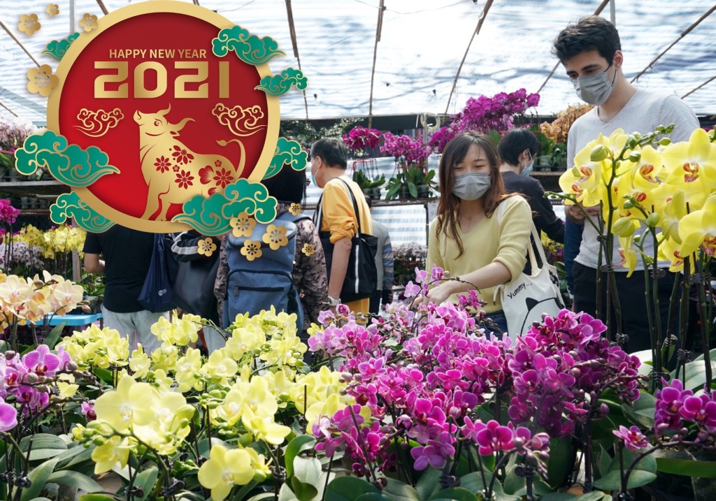 Shoppers buying flowers in Hong Kong market for Year of the Ox