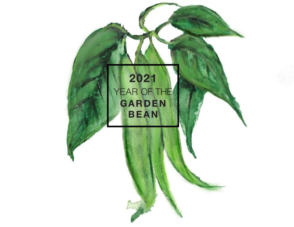 Illustration of green beans and leaves, with 2021 year of the garden bean overprint