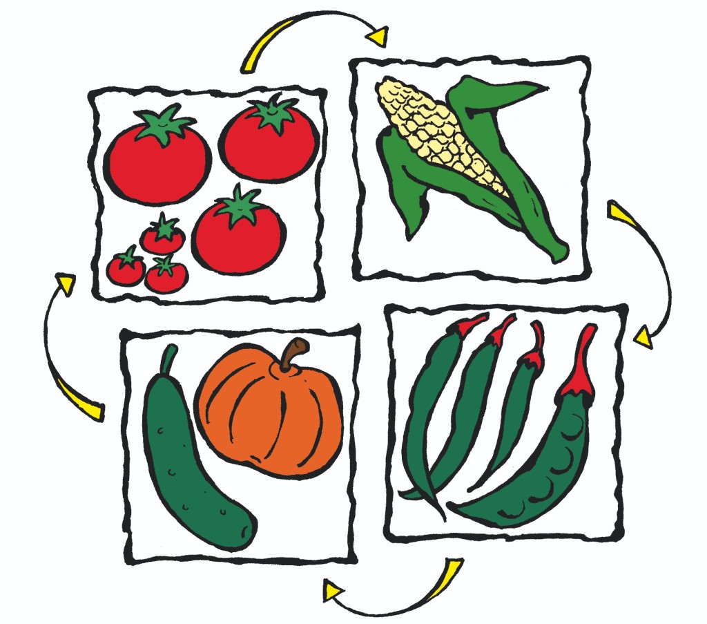 Illustration showing 4 vegetables rotating.