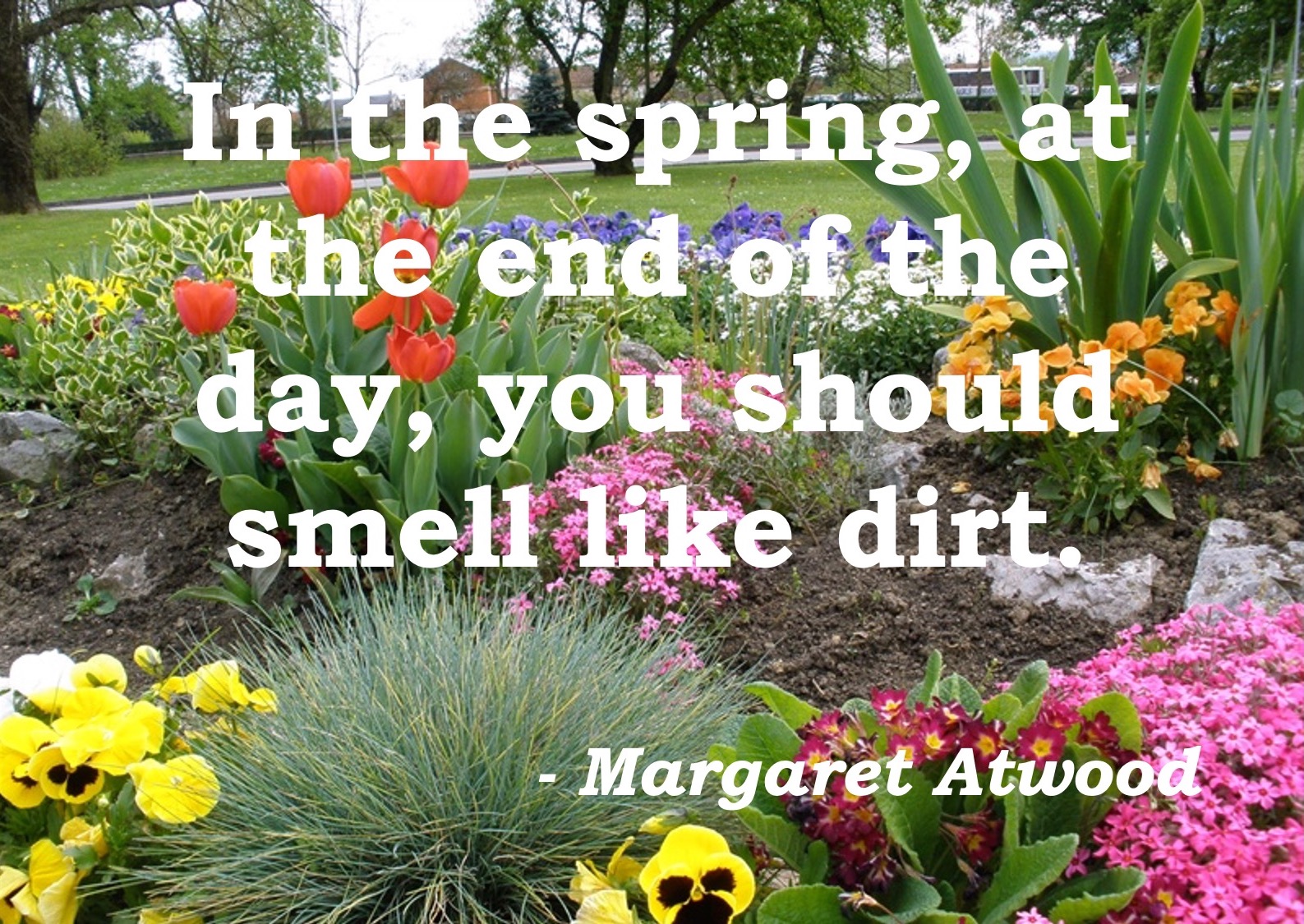 Spring garden with quote over top: In the spring, at the end of the day, you should smell like dirt. - Margaret Atwood