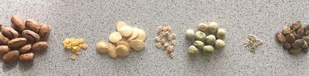 Open-pollinated seeds