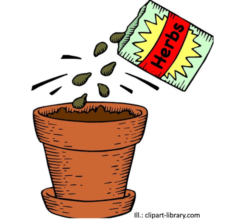 Illustration showing a seed packet labelled herbes pouring seeds into a pot.
