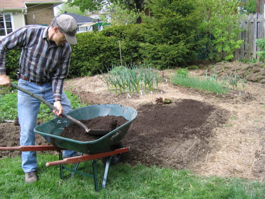 Man shoveling compost from a wheelbarrow.