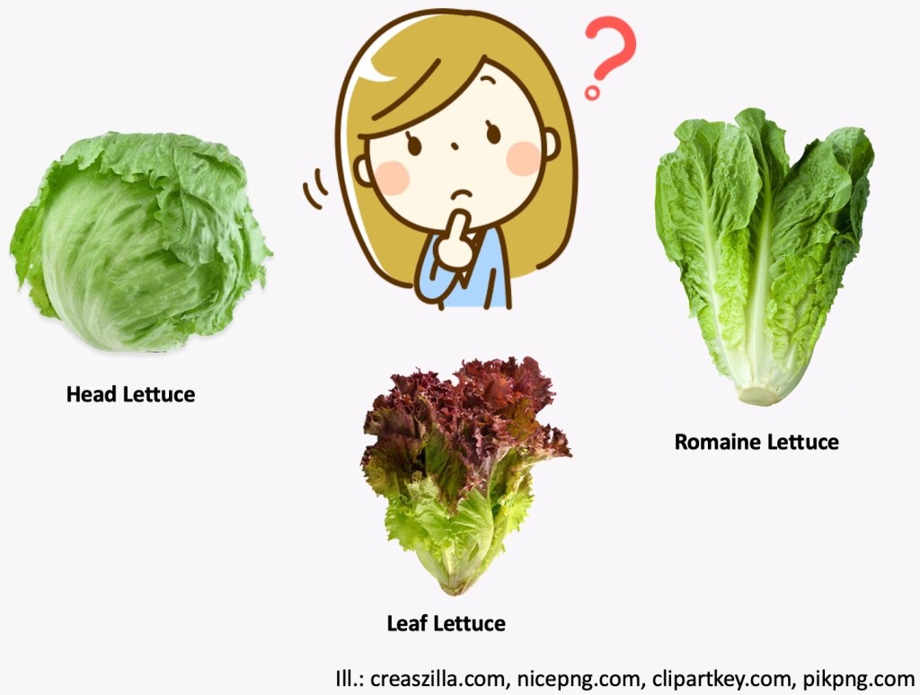 Woman looking doubtful, examining 3 types of lettuce: head, leaf and romaine.