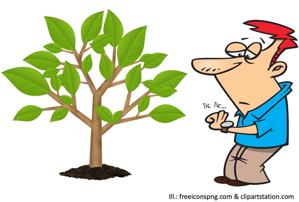 Man becoming impatient because his apple tree hasn’t started producing fruit.