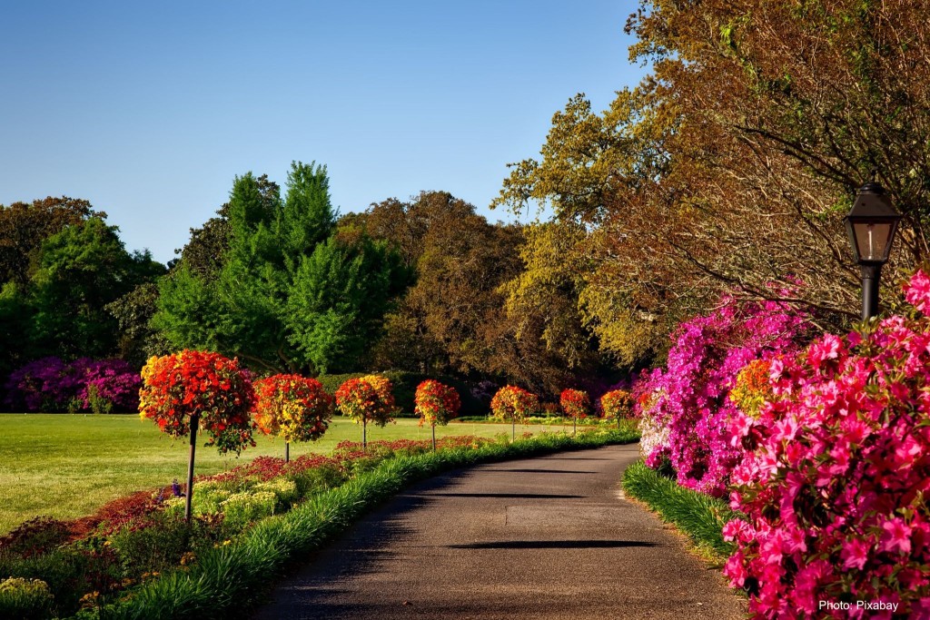 Paysage coloré