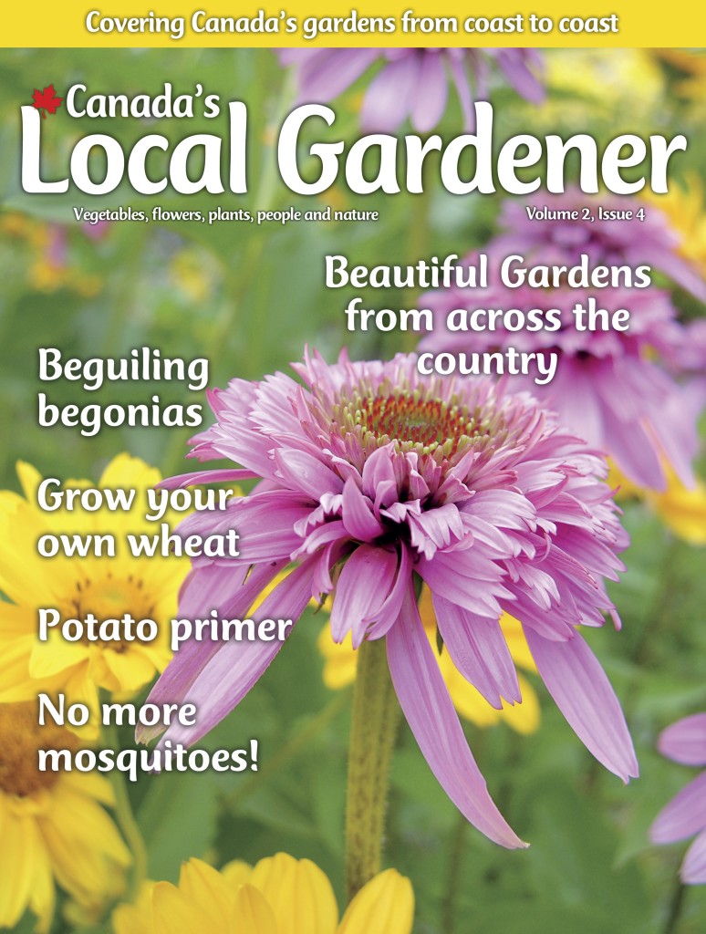 Start a Reservation visual data 6