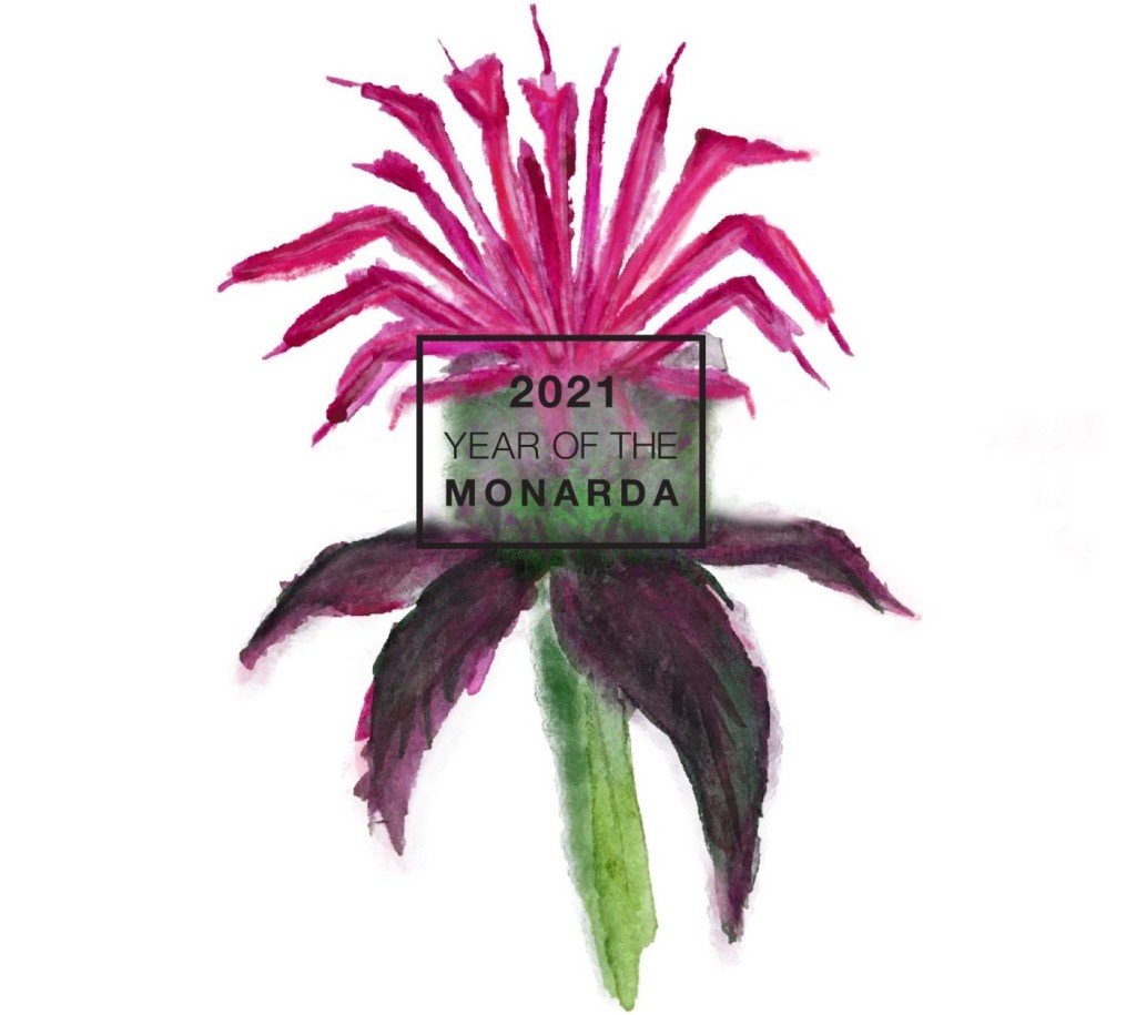 Year of the monarda logo.