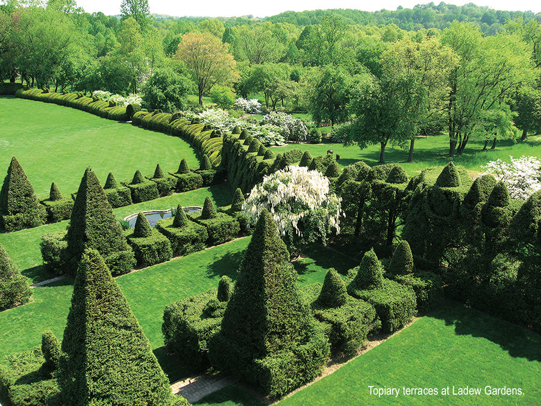 Topiary Terrace at Ladew Gardens