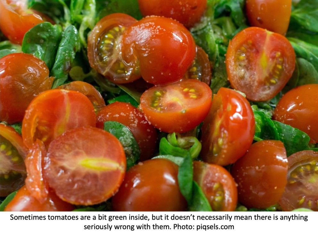 Tomatoes cut open with some green inside.