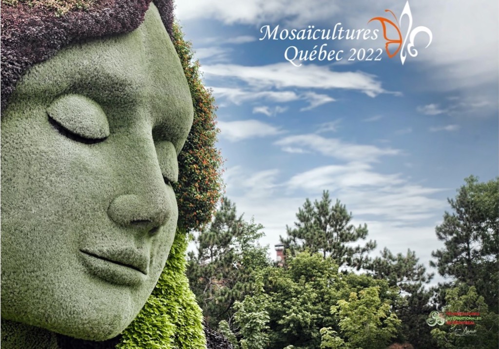 Woman’s face done in mosaiculture