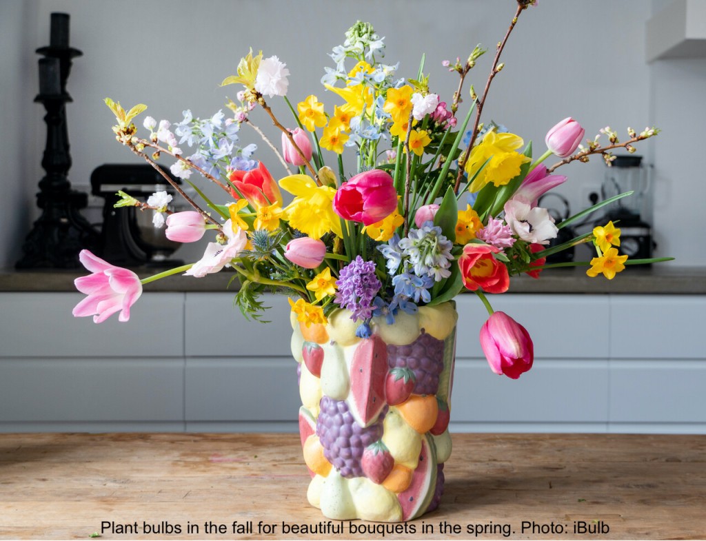 Bouquet de fleurs printanières.
