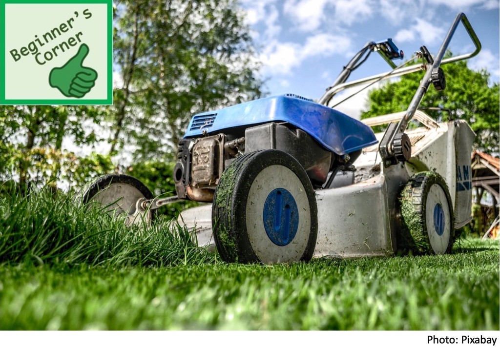 Lawn mower on lawn