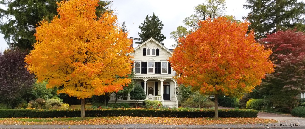 Suburban house in the fall with trees with colored leaves.