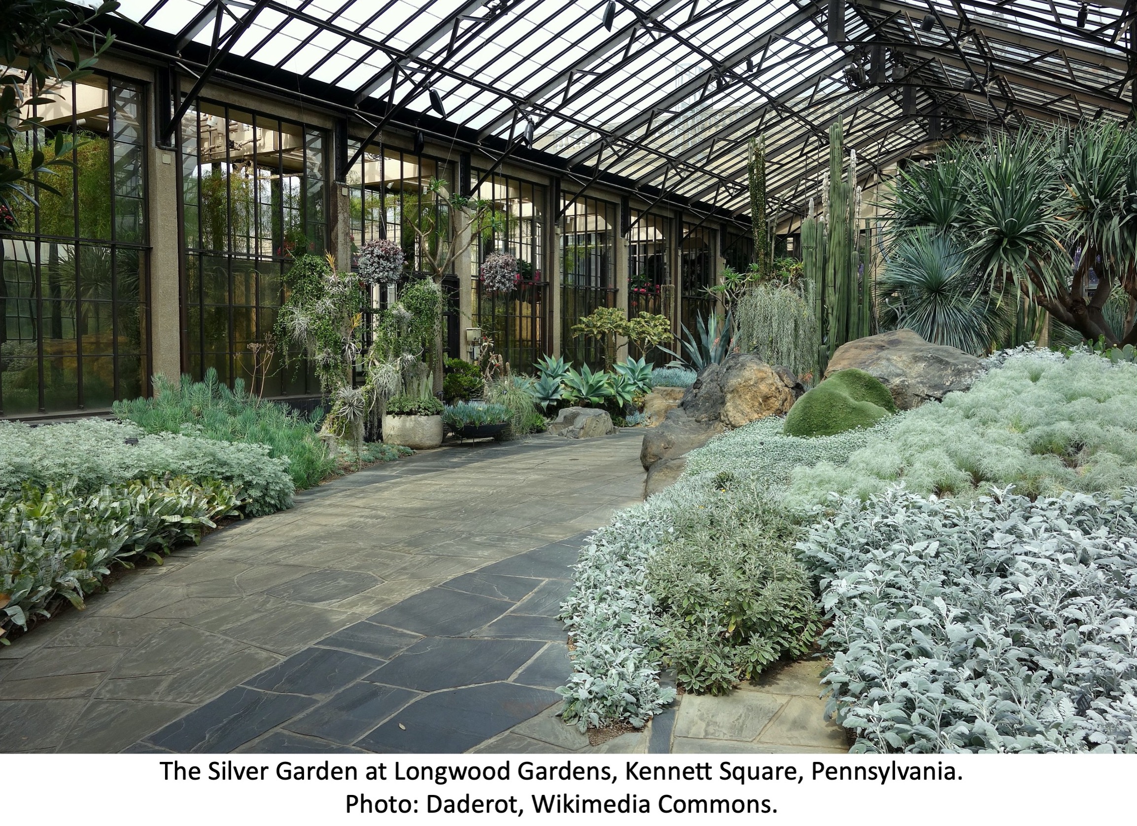 Silver garden at longwood