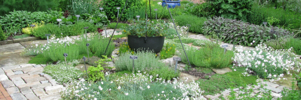 Herb garden