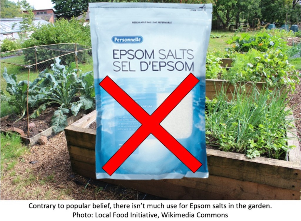 Bag of Epsom salts in a garden.
