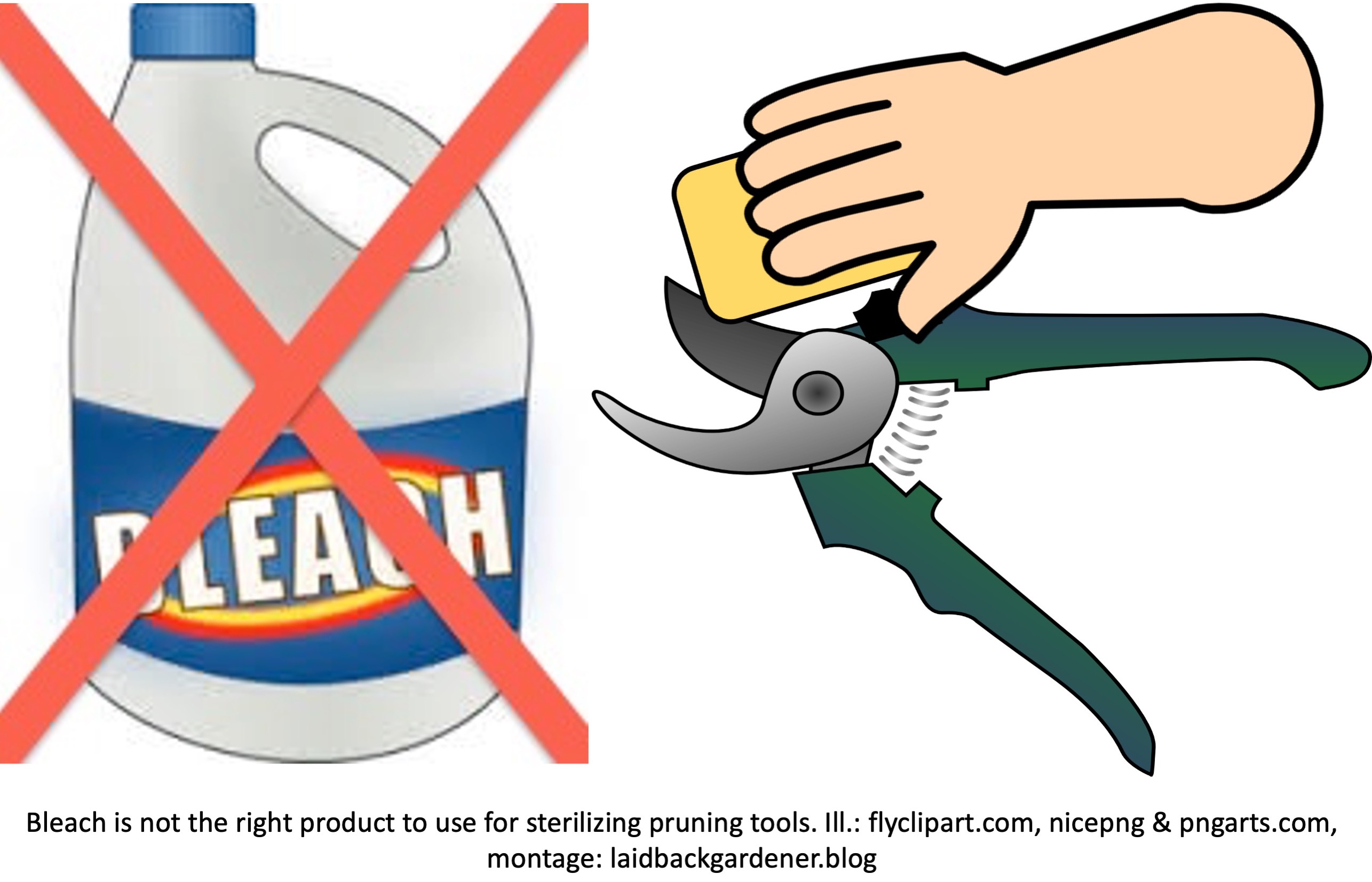 A bottle of bleach and a hand cleaning pruning shears.