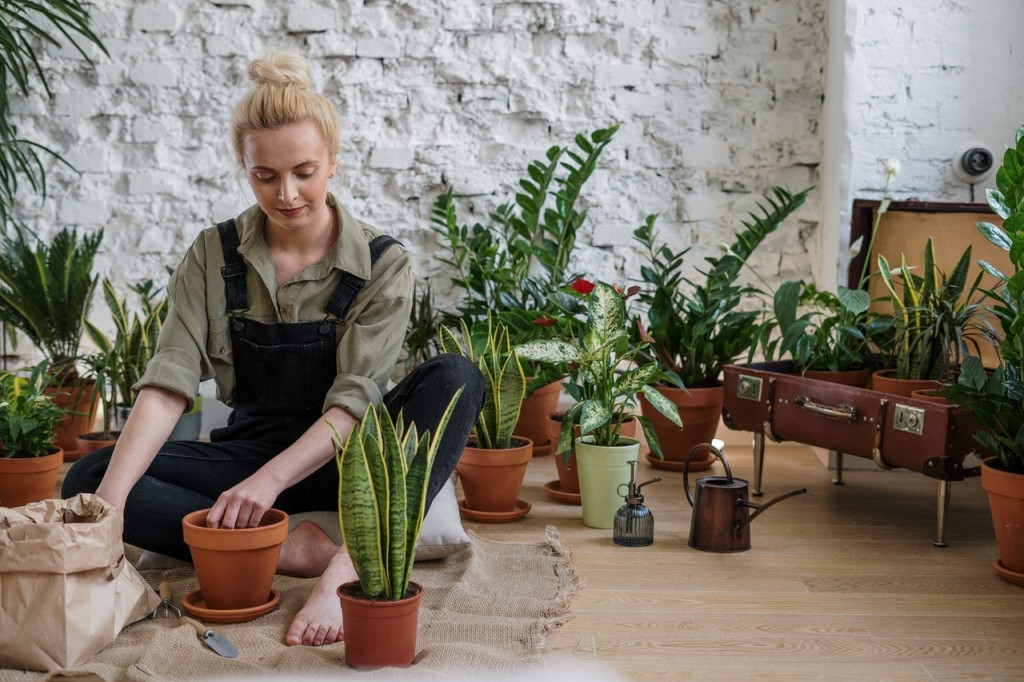 Zen woman repotting plants