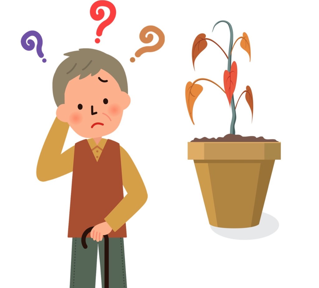 Distracted man neglecting his houseplant