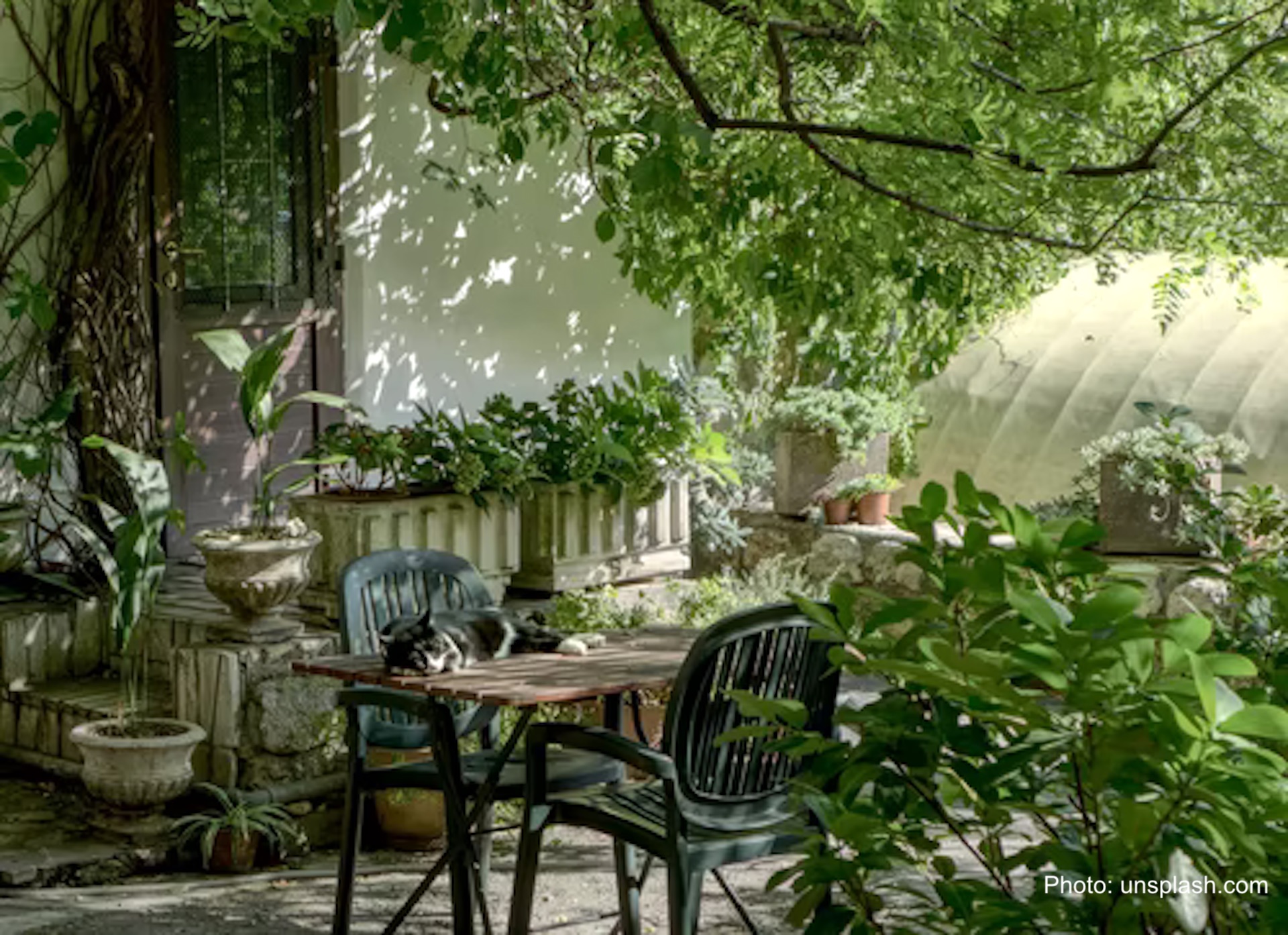 Backyard garden with table and chairs