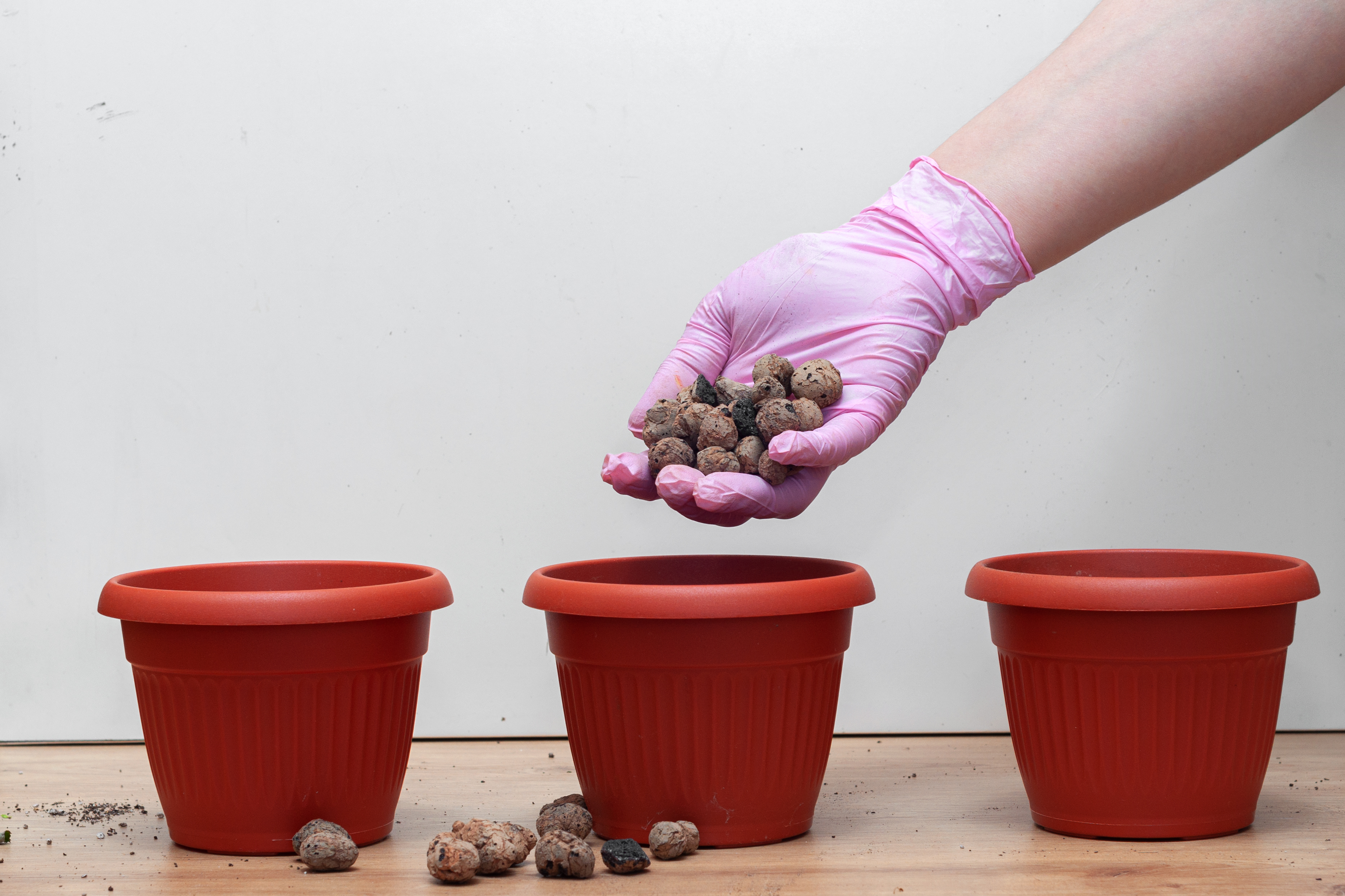 Hand putting drainage pebbles in pot.