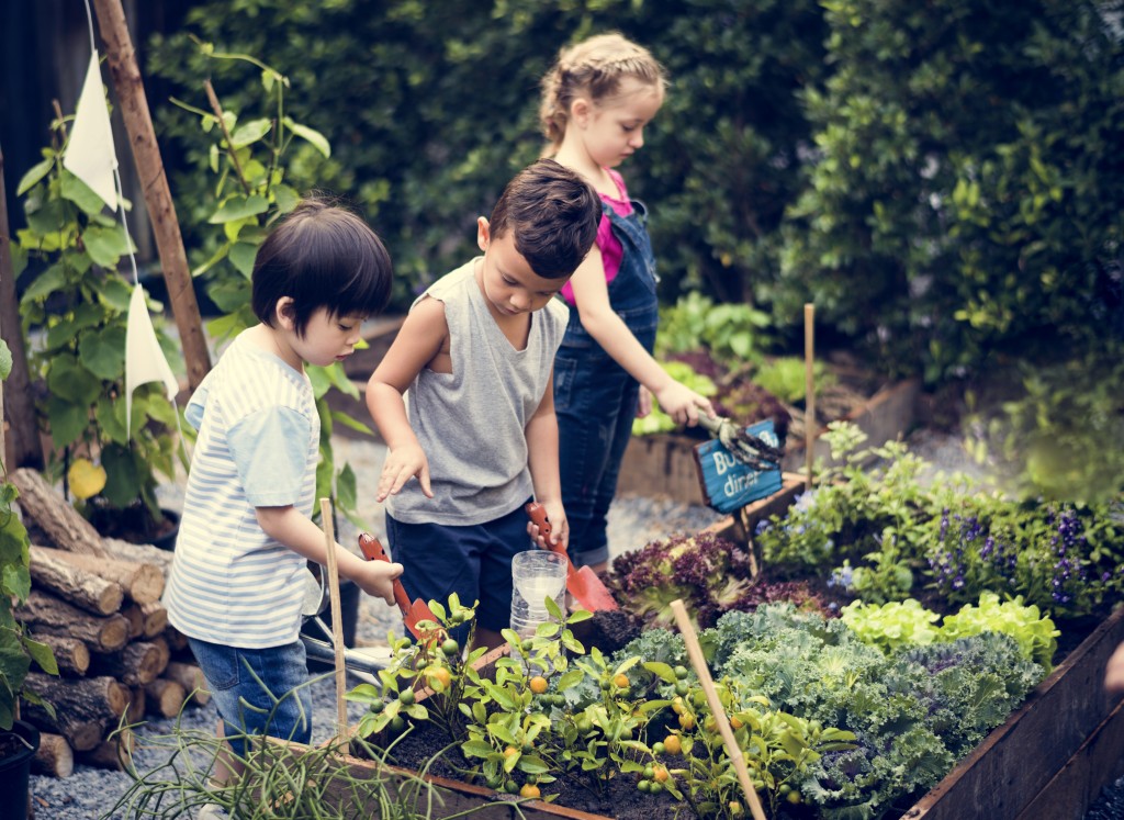 Group of kindergarten kids learning gardening outdoors