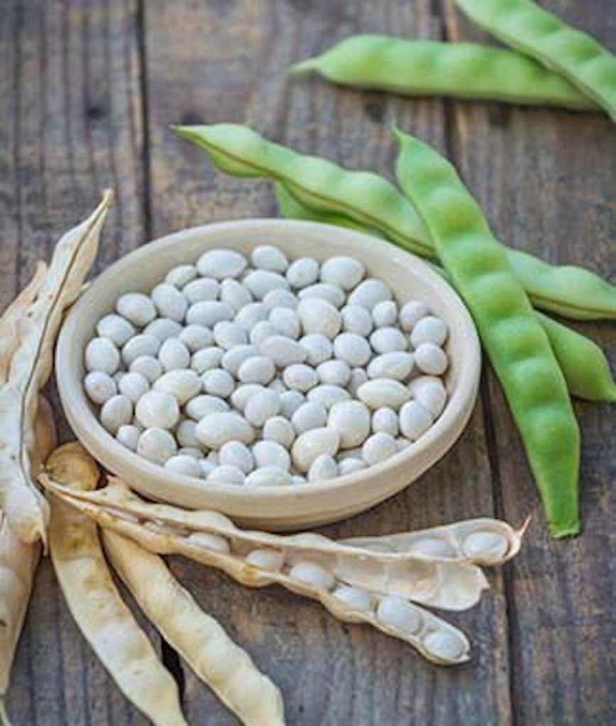 Bean seeds in bowl, with shells next to them.