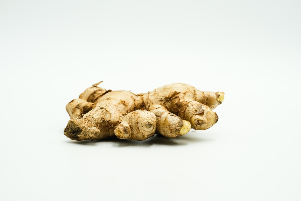 Ginger rhizome