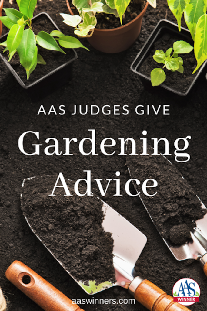Garden trowel, soil and repotted plants.