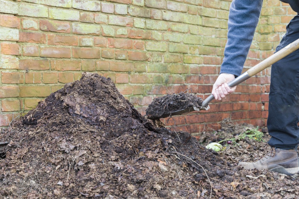 Gardener shoveling homemade compoost.