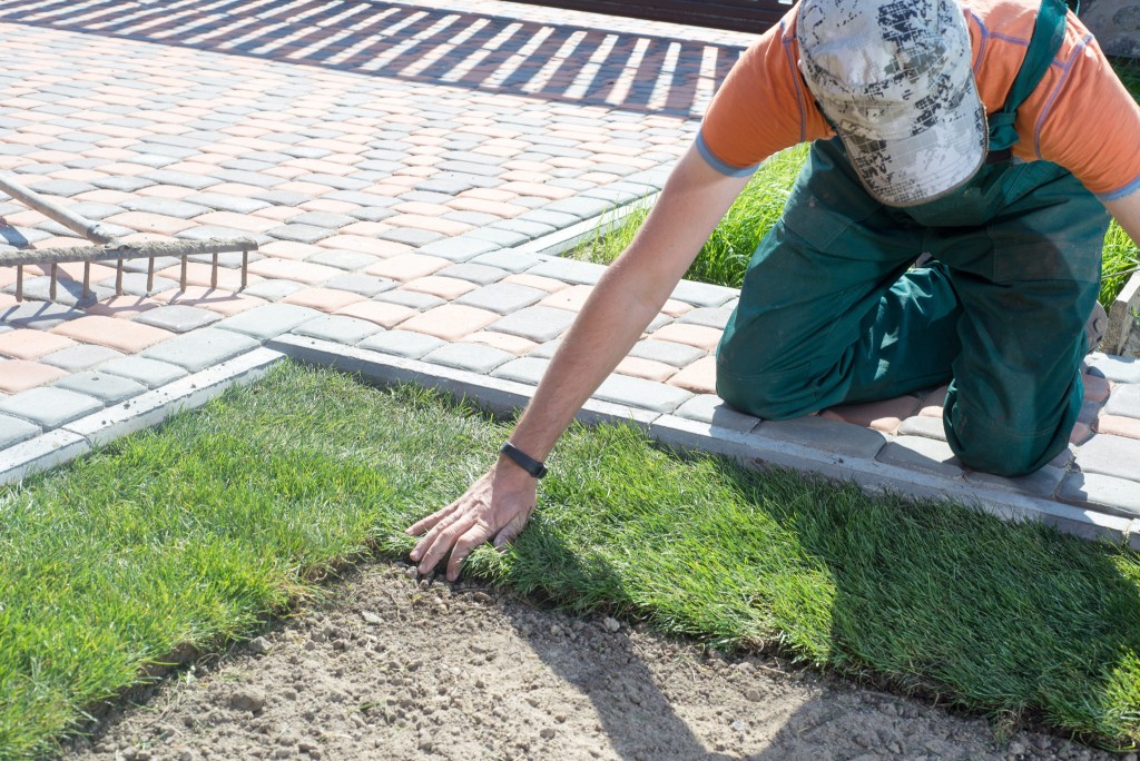 Man laying sod.
