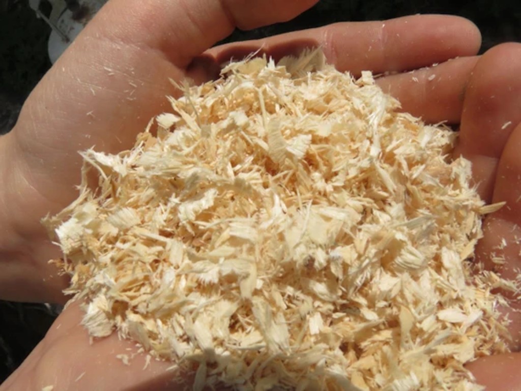 Larch shavings.
