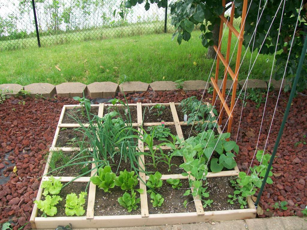 A Handy Dandy Seed Template Laidback Gardener