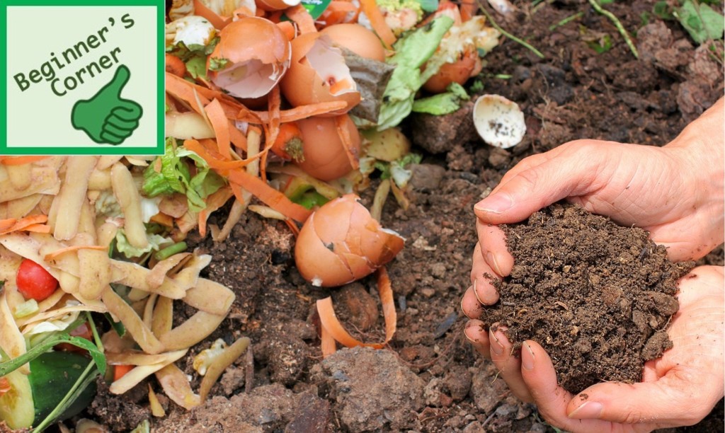 Compost and compost ingredients