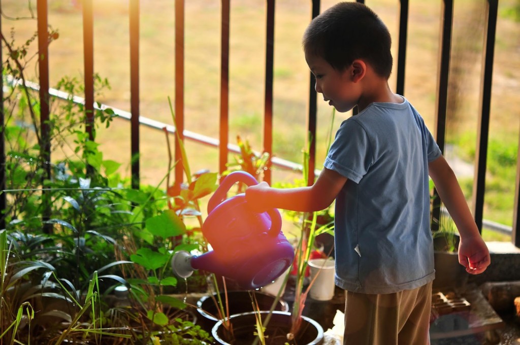 School Gardening