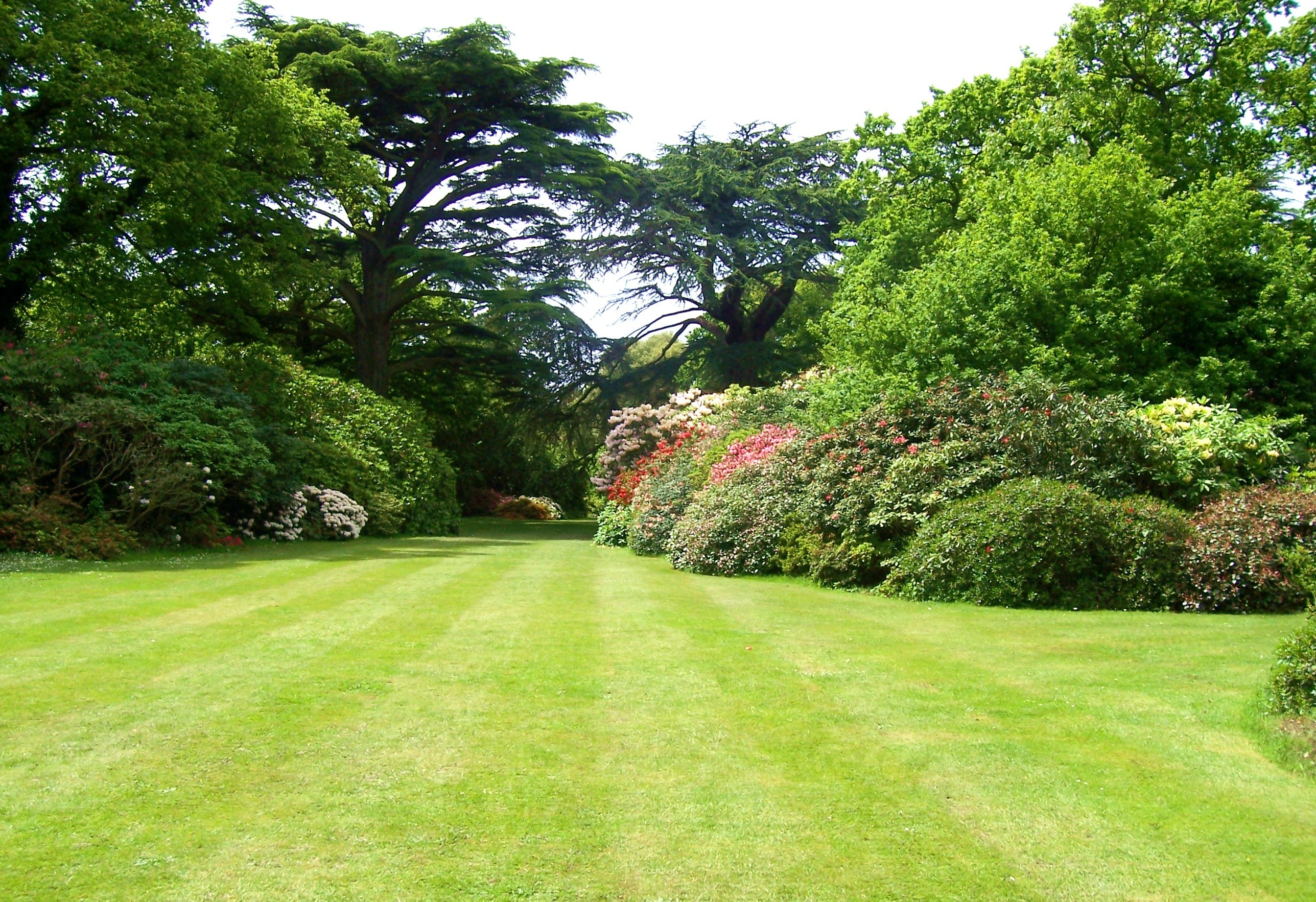 Beautiful landscape with attractive trees and shrubs.