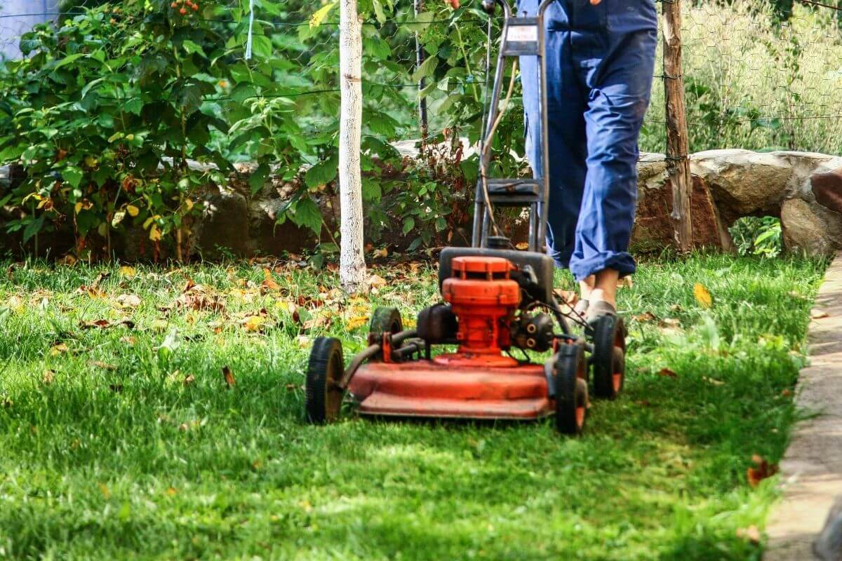 Man mowing lawn.
