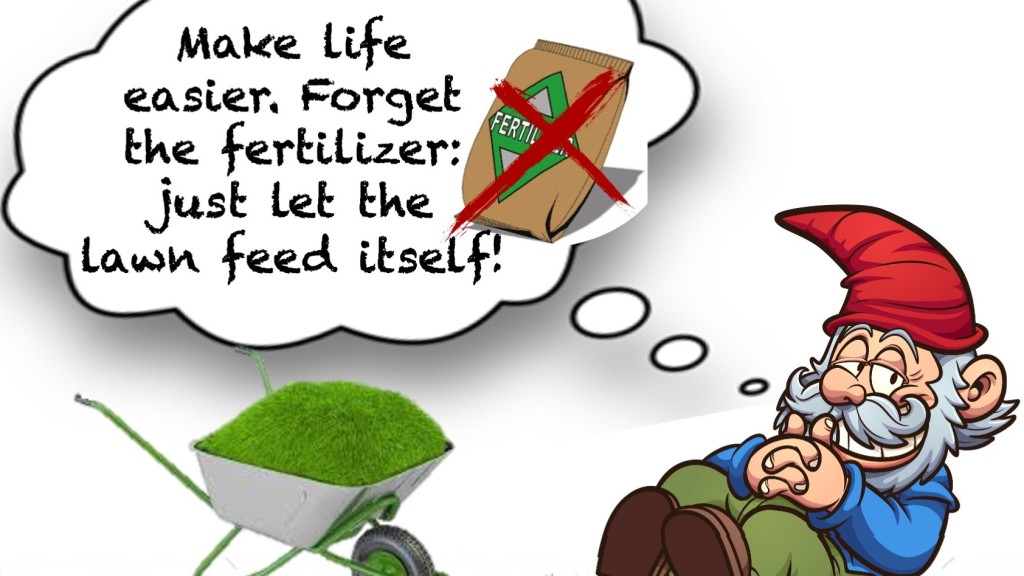 Illustration showing garden gnome dreaming of no fertilizer on a lawn.