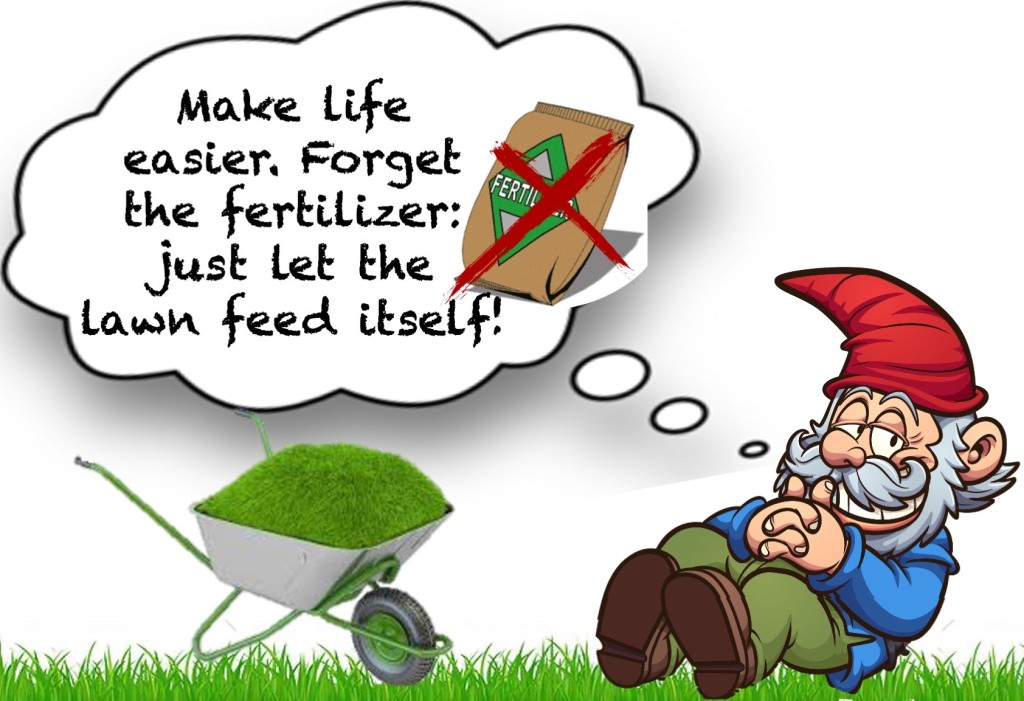 Illustration showing garden gnome dreaming of no fertilizer on a lawn.