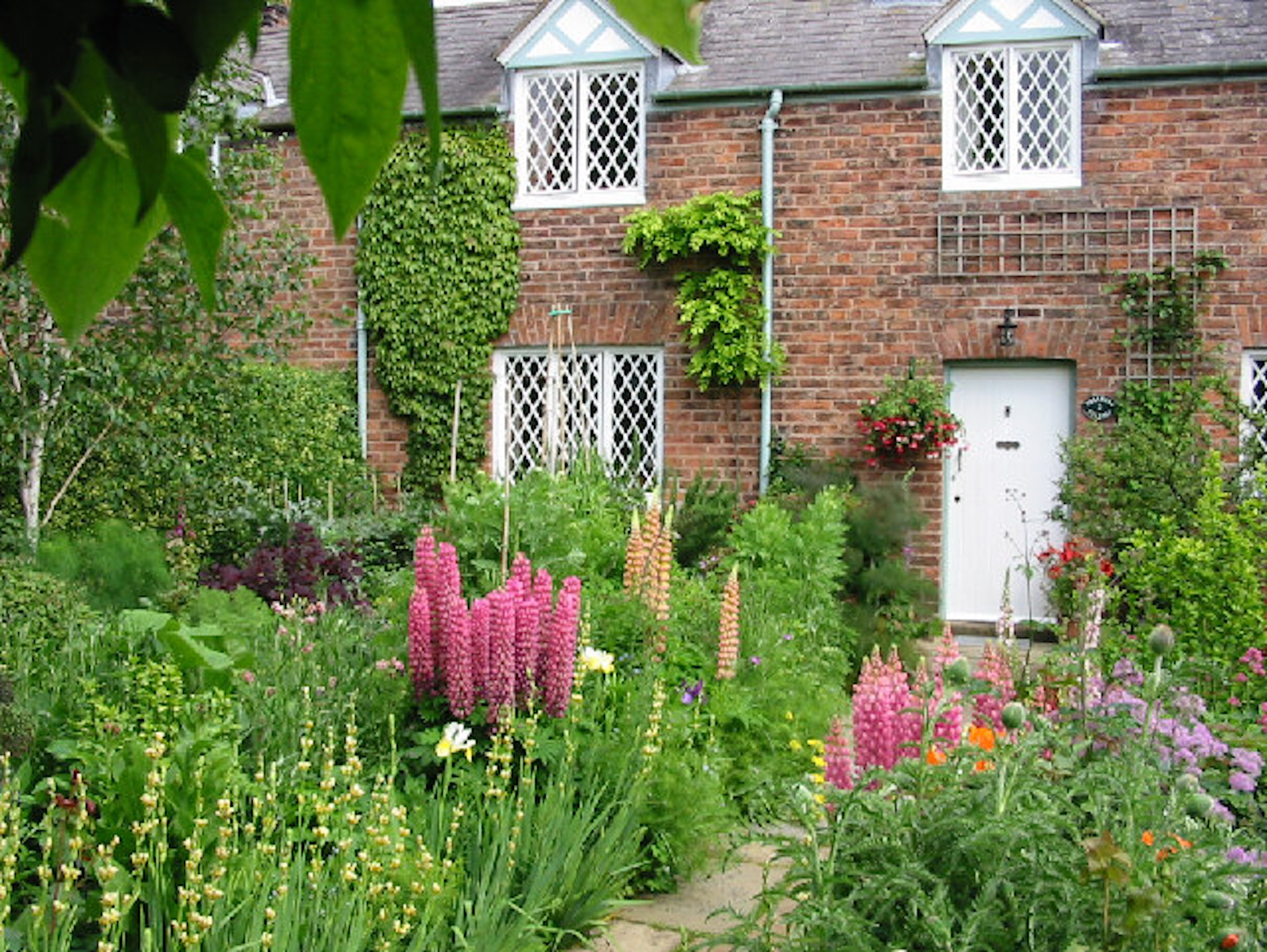 Cottage garden in front of row house.