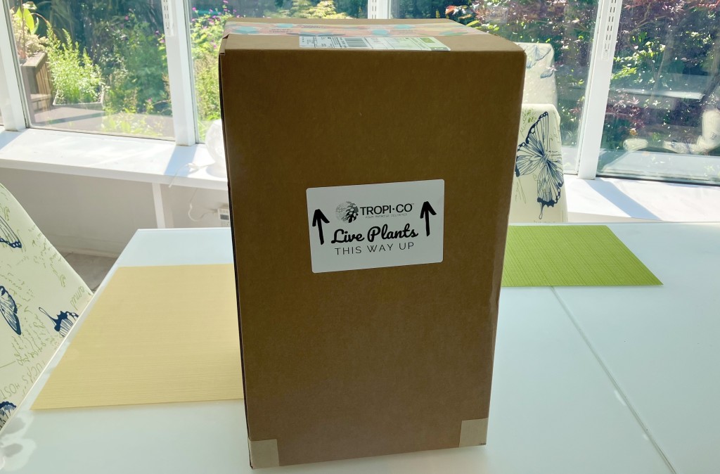 Shipping box marked Live plants, This way up.