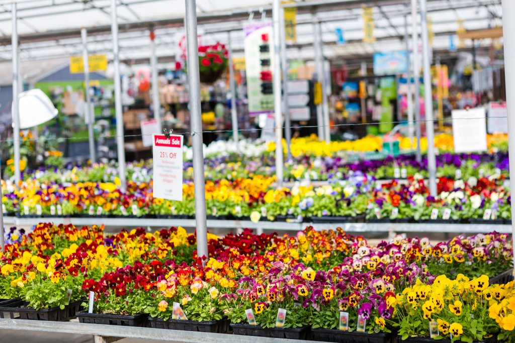 Garden center in fall.
