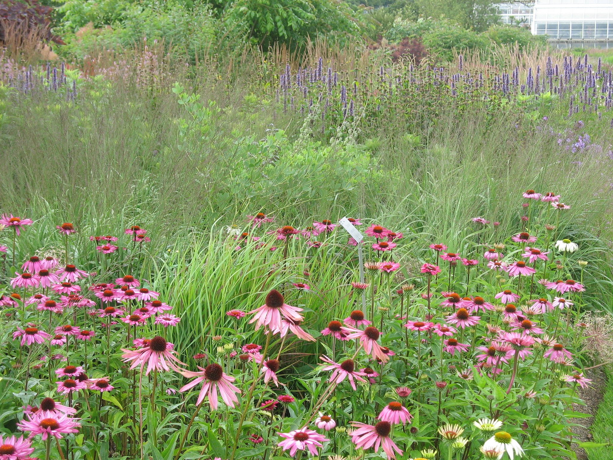 Training Archives Laidback Gardener